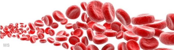 PRP Platelet Rich Plasma Rejuvenation Therapy at Milady Medical Spa Brooklyn NY 11235